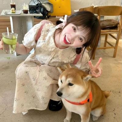 侠盗义贼